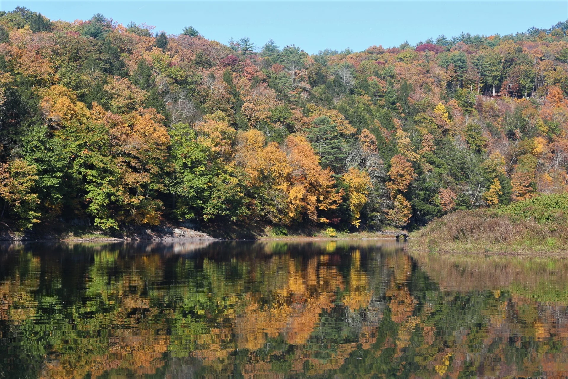 Autumn foliage reflected on the Upper Delaware River at Narrowsburg, New York.
