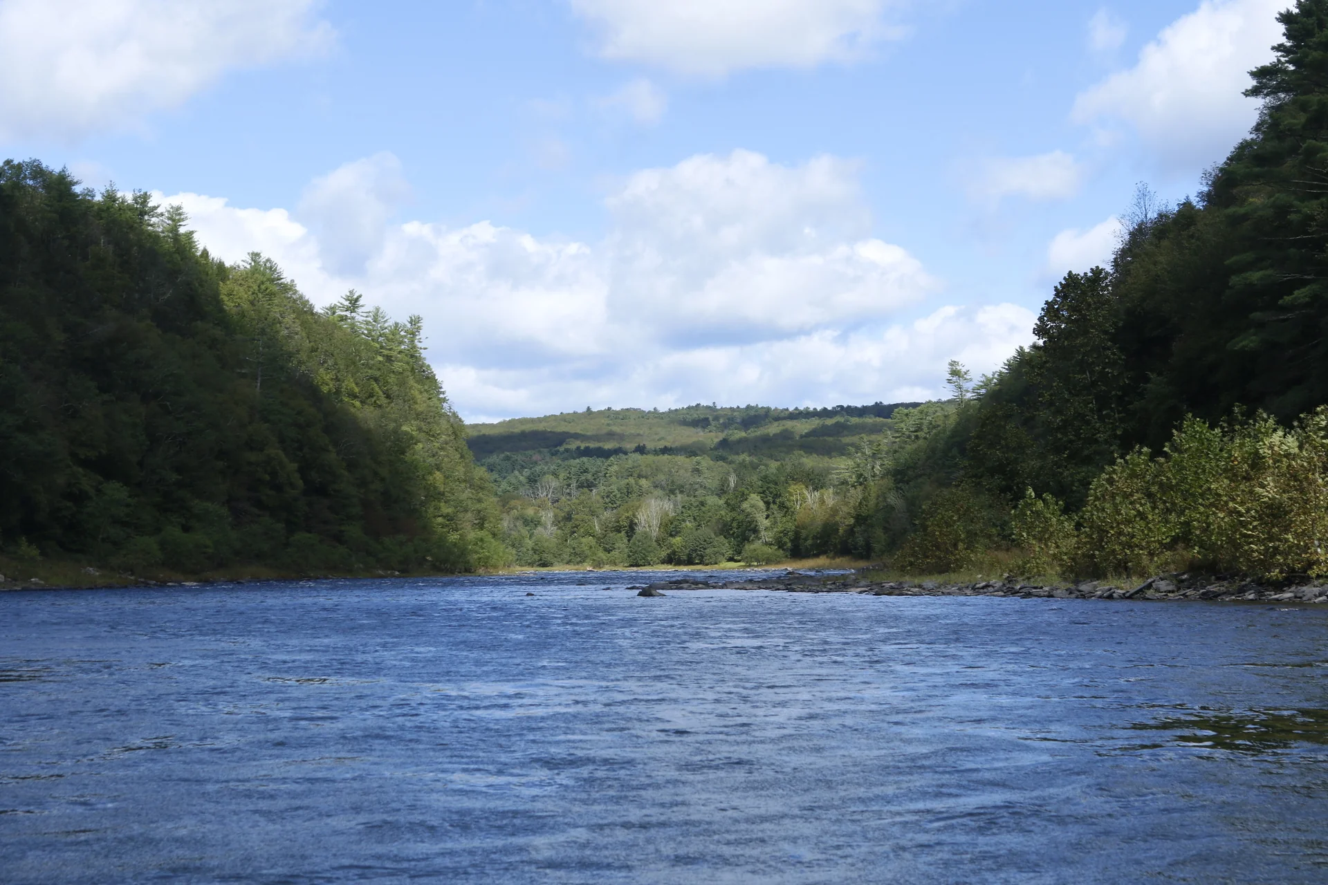 An open stretch of blue river between forested hills.