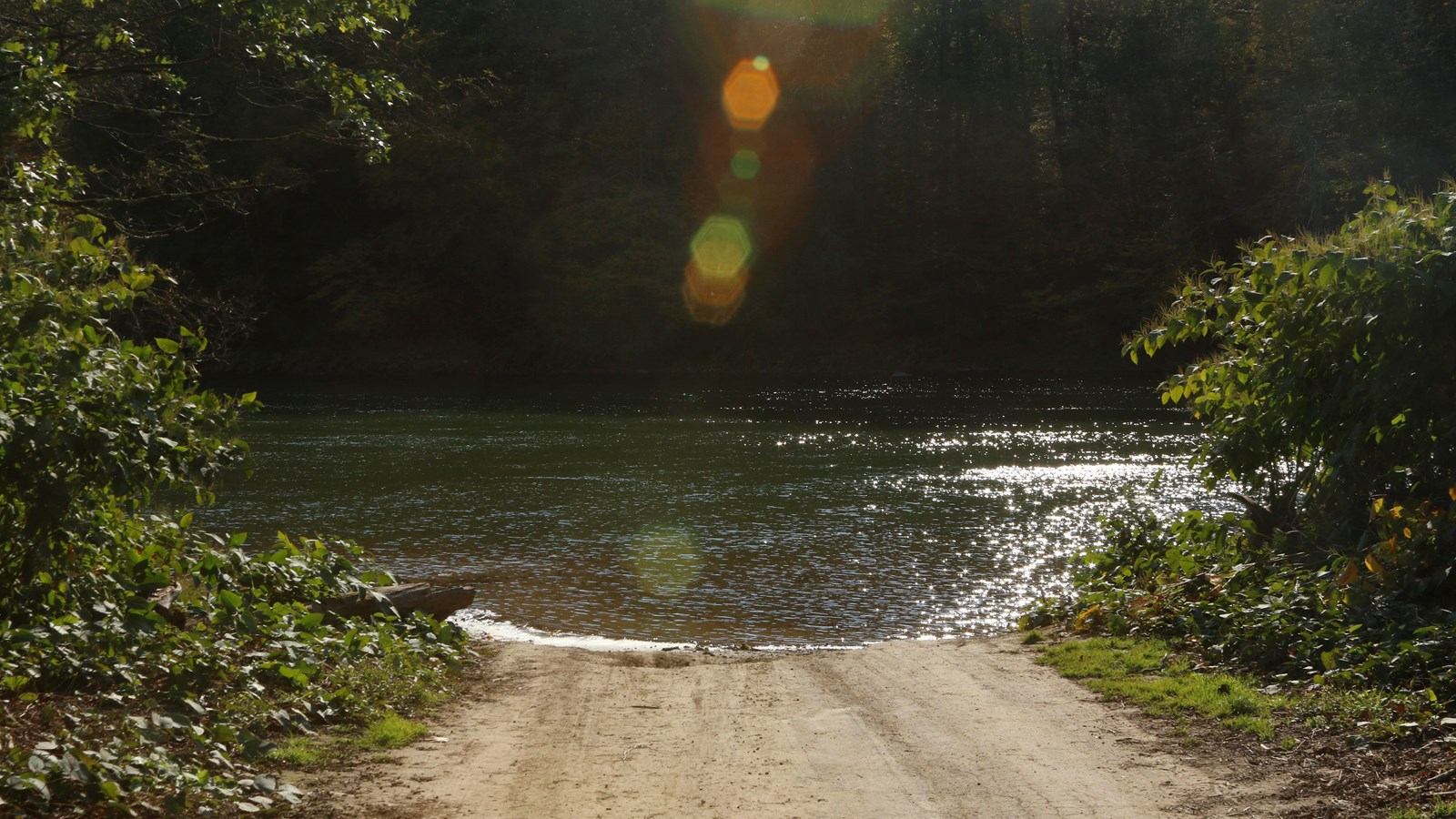 Sunlight over a tree-lined river.